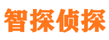 井陉县市婚外情调查